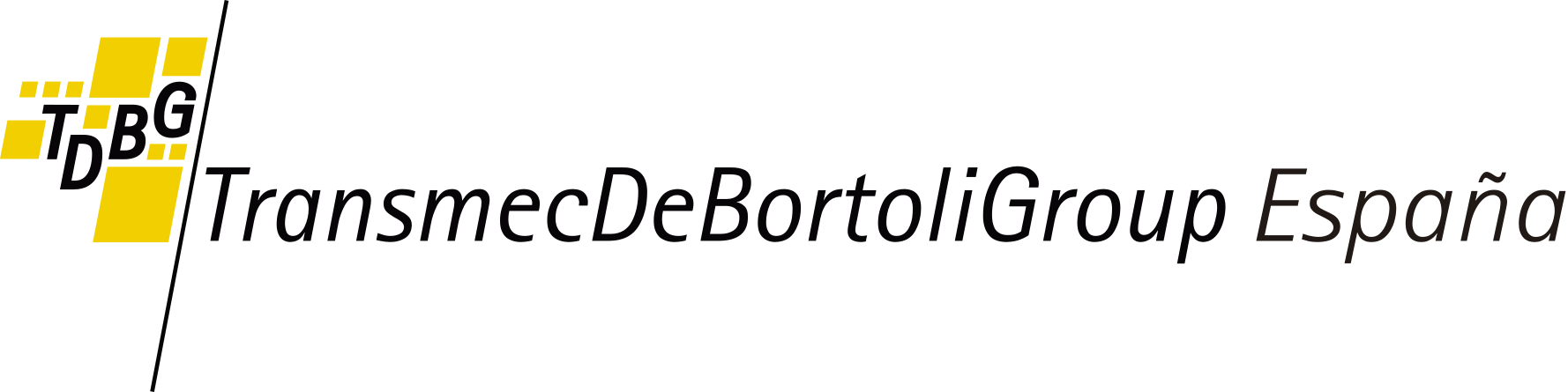 TransmecDeBortoliGroup EspanÞa S.A.-1